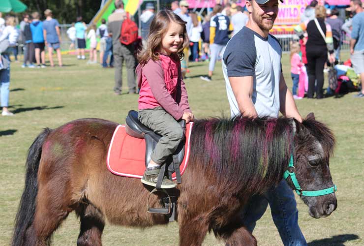 Pony Rides For Hire Brisbane